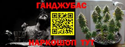 ГАЛЛЮЦИНОГЕННЫЕ ГРИБЫ Обь