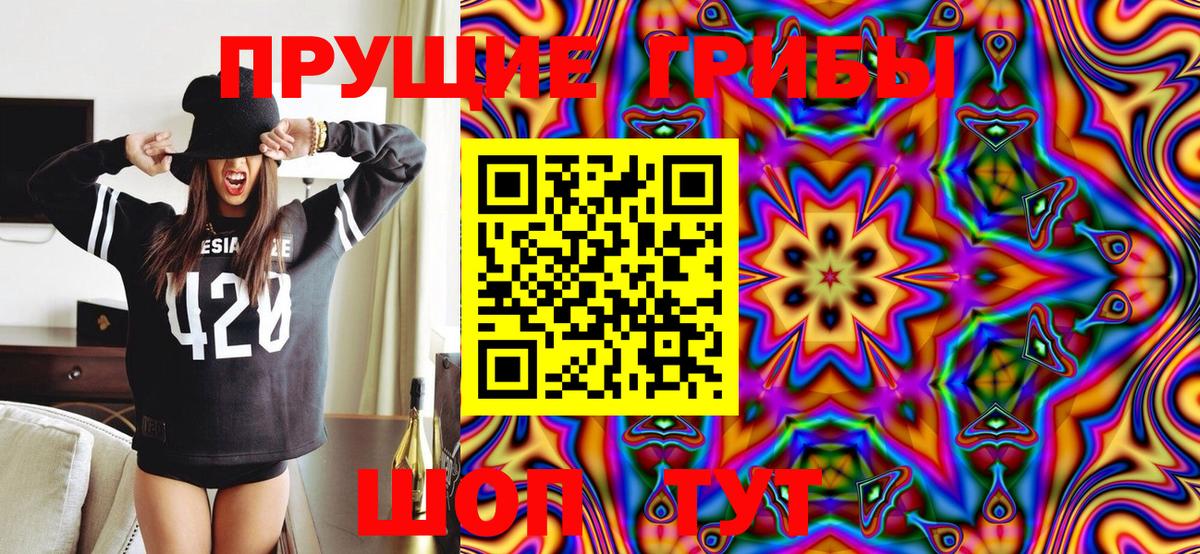 Псилоцибиновые грибы GOLDEN TEACHER Кореновск