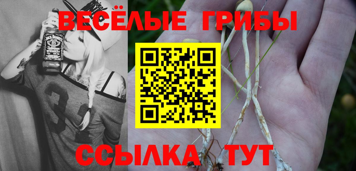 Псилоцибиновые грибы Magic Shrooms  Вход с VPN  закладки  Кореновск 